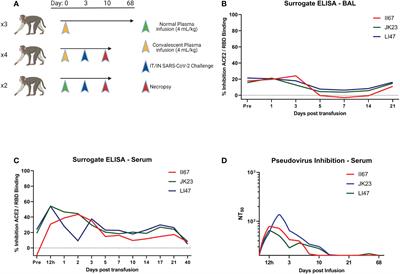 Mid-titer human convalescent plasma administration results in suboptimal prophylaxis against SARS-CoV-2 infection in rhesus macaques